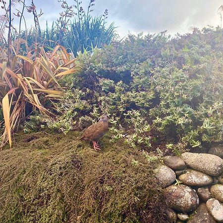 Wild Weka Eco Stay - Off-Grid 4Wd Recommended Waimarie Exterior photo